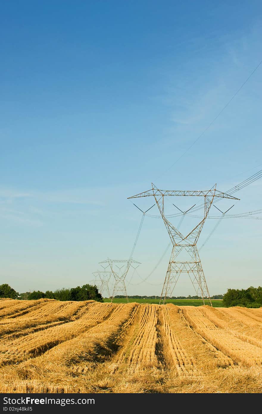 Tower lines through wheat field