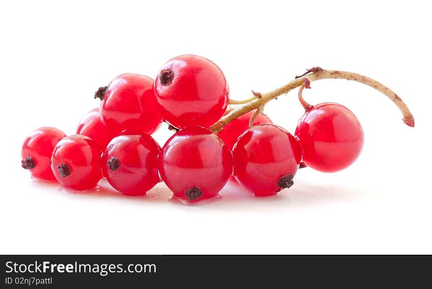 Redcurrant isolated on white background