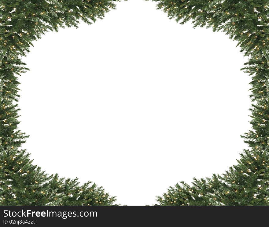 Image of Pine tree frame as background