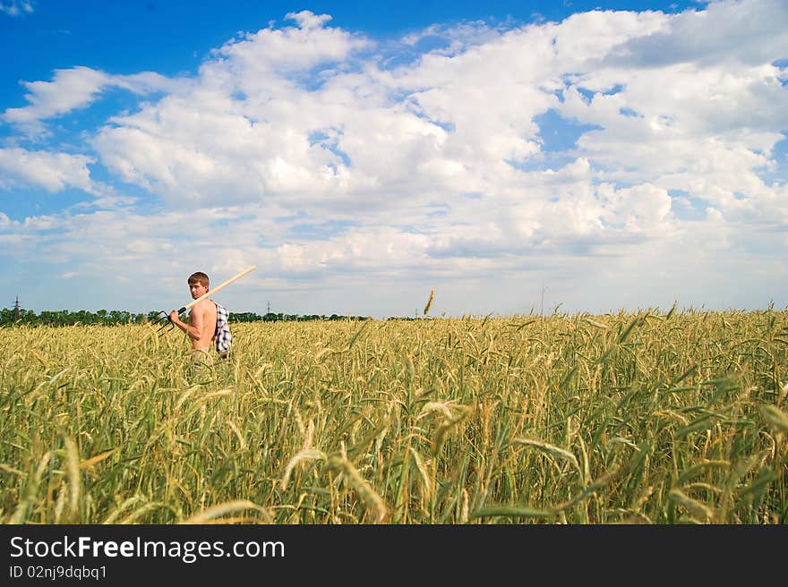 A Man In Field Of Wheat