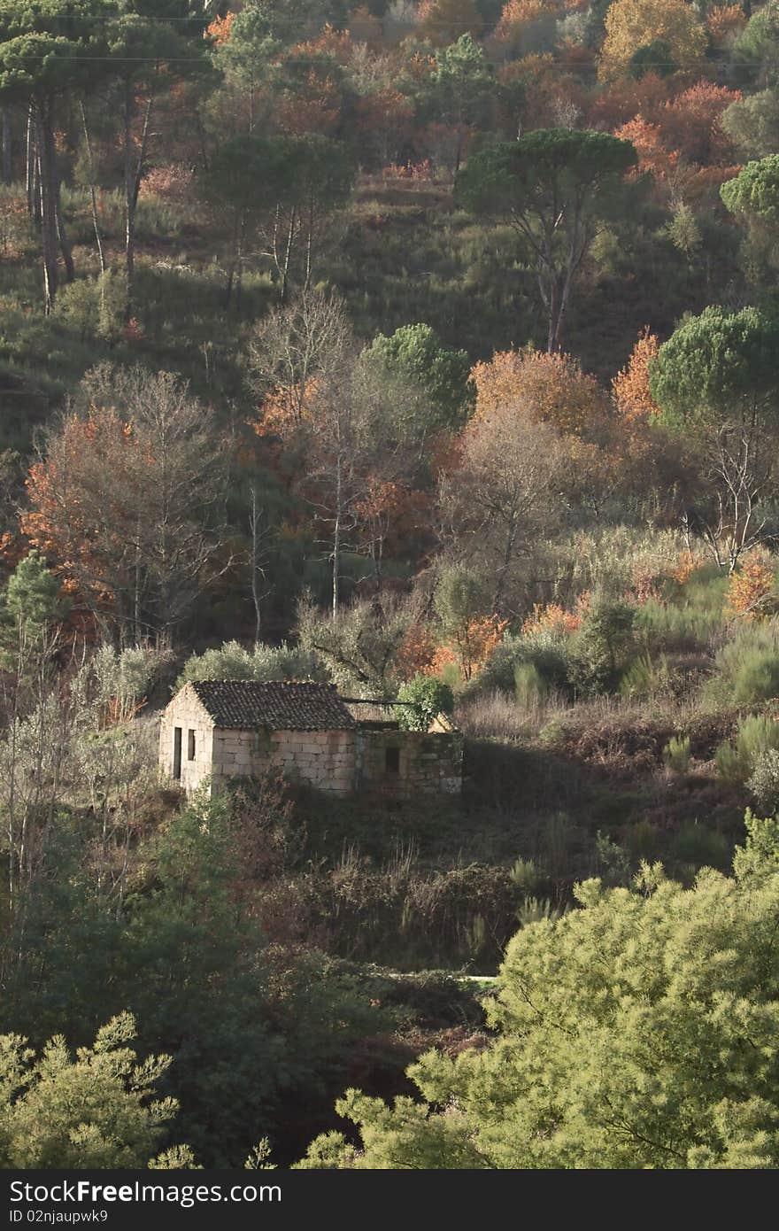 Small abandoned house with partly collapsed roof on hilside of trees in autumnal colours