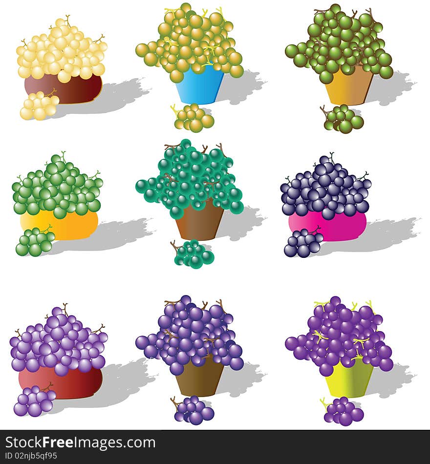 Multi-coloured grapes in ware. Vector illustration.