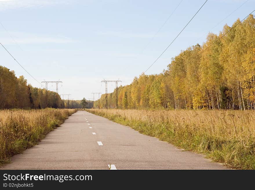 Asphalt road in autumn