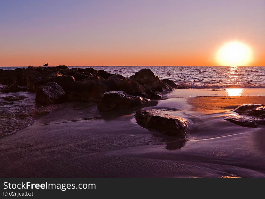 A beautiful shot of the seashore while the sun was going down, a seagull is resting on the rocks. A beautiful shot of the seashore while the sun was going down, a seagull is resting on the rocks