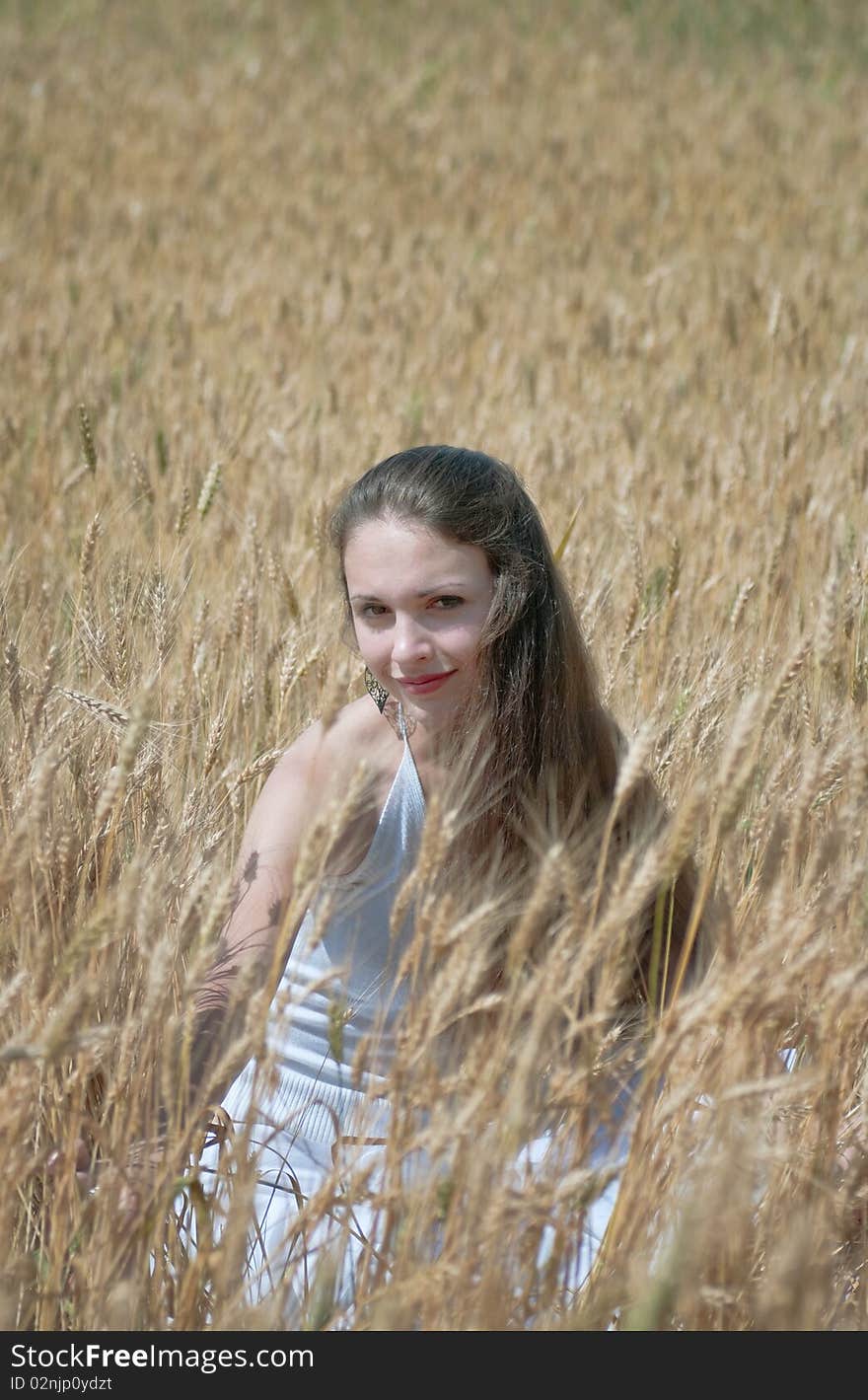 Beautiful young woman having fun on a wheat field. Beautiful young woman having fun on a wheat field