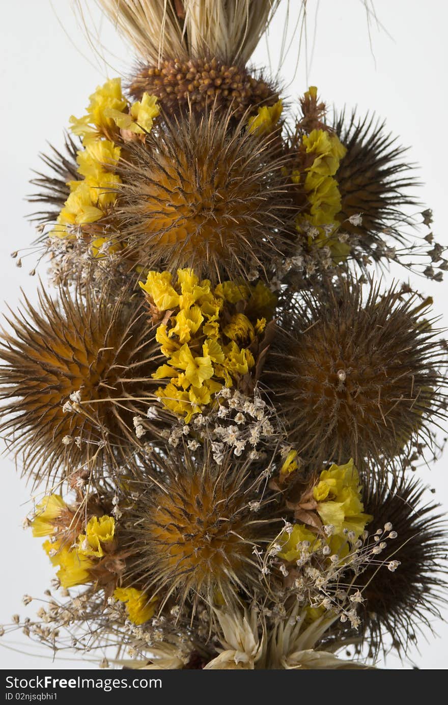 Fragment of decorative garland from dried flowers. Fragment of decorative garland from dried flowers