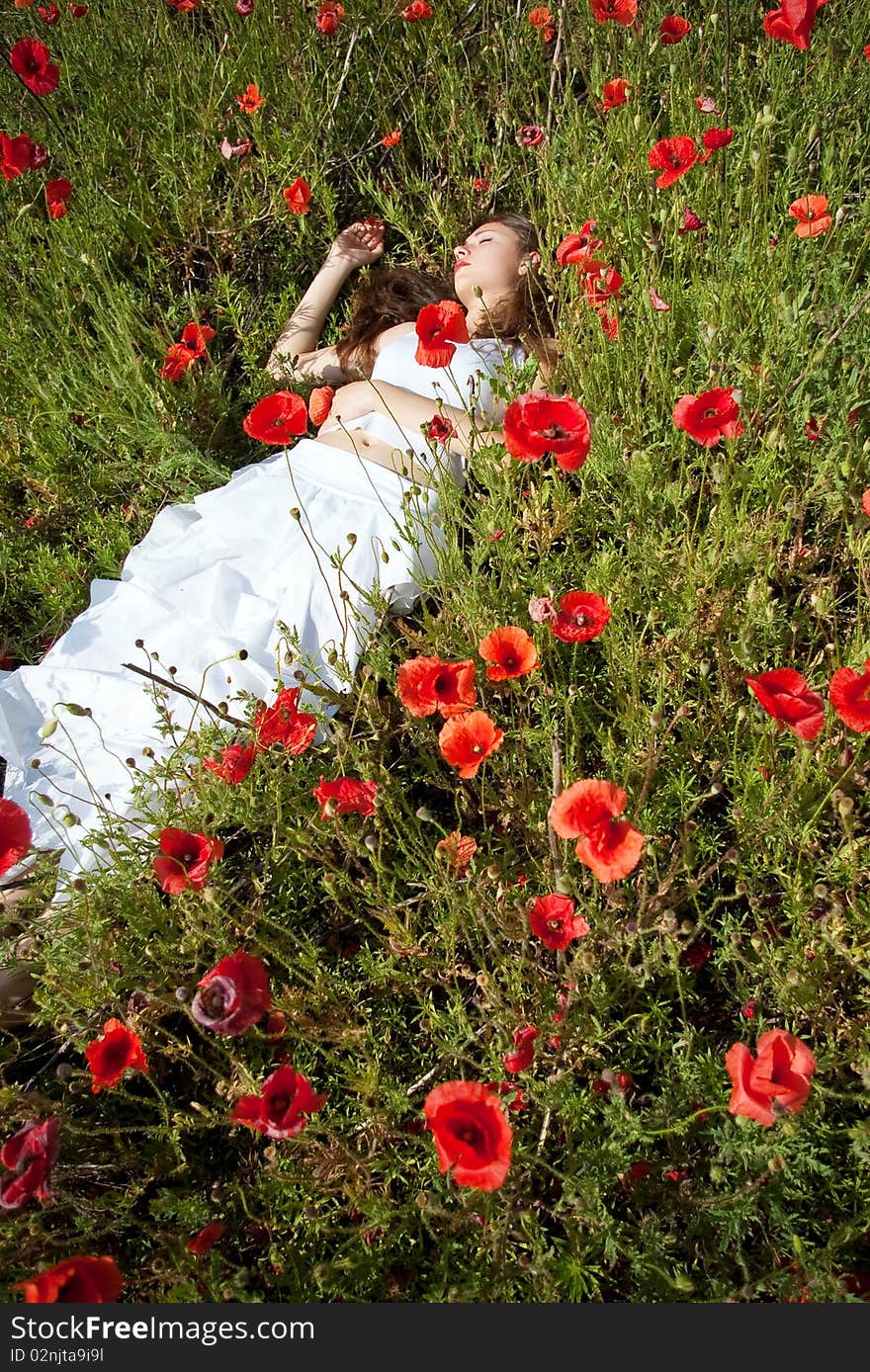 Beautiful young woman posing in the field of poppies. Beautiful young woman posing in the field of poppies