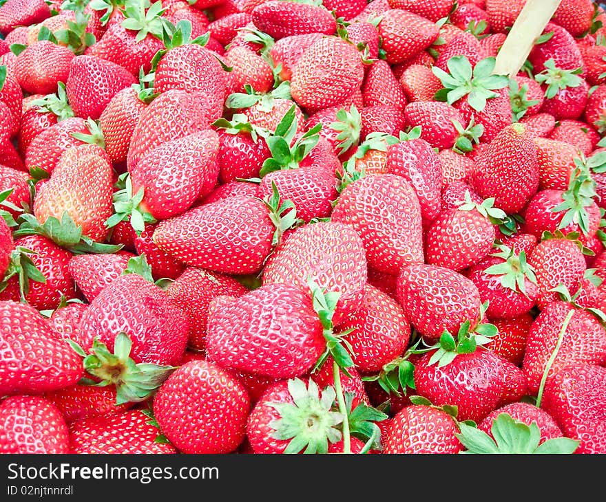 The fresh strawberries on sunny day