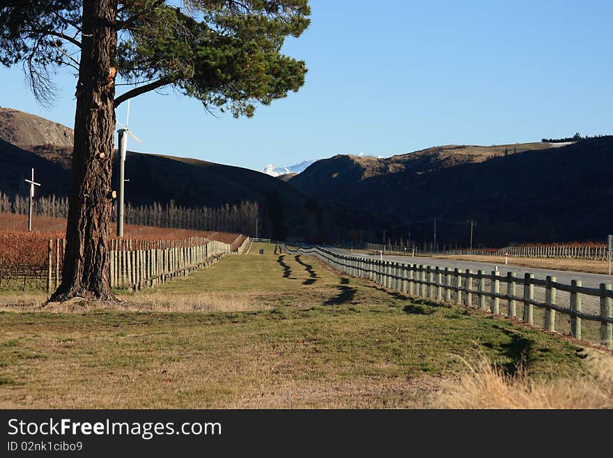 A road through the Gibbston Valley of Central Otago, New Zealand flanked by vineyards. A road through the Gibbston Valley of Central Otago, New Zealand flanked by vineyards.