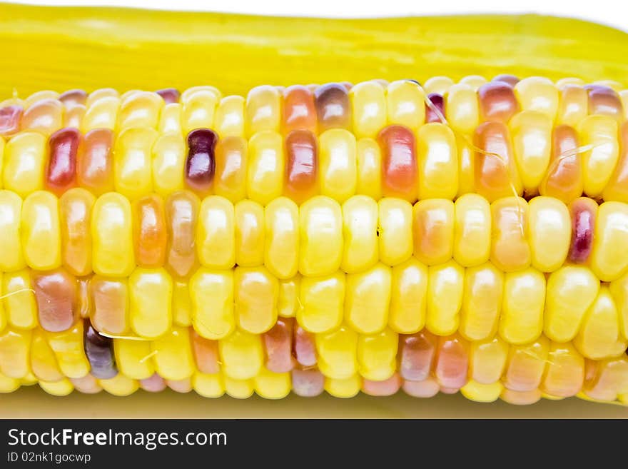 Corn with yellow,orange and violet seeds in close up