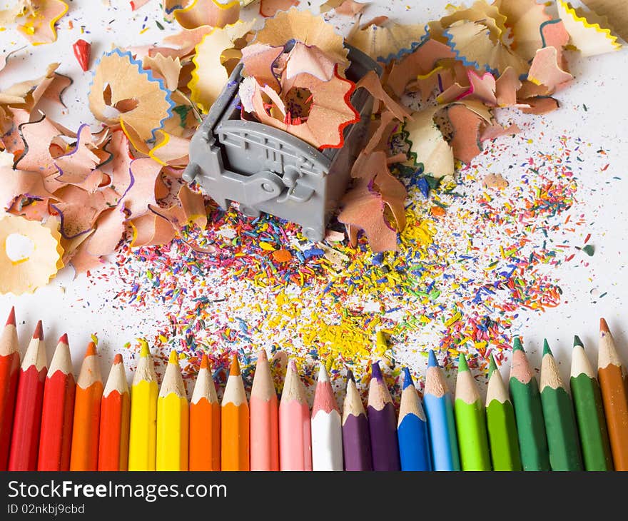 With wooden shavings in plastic recycle bin. With wooden shavings in plastic recycle bin