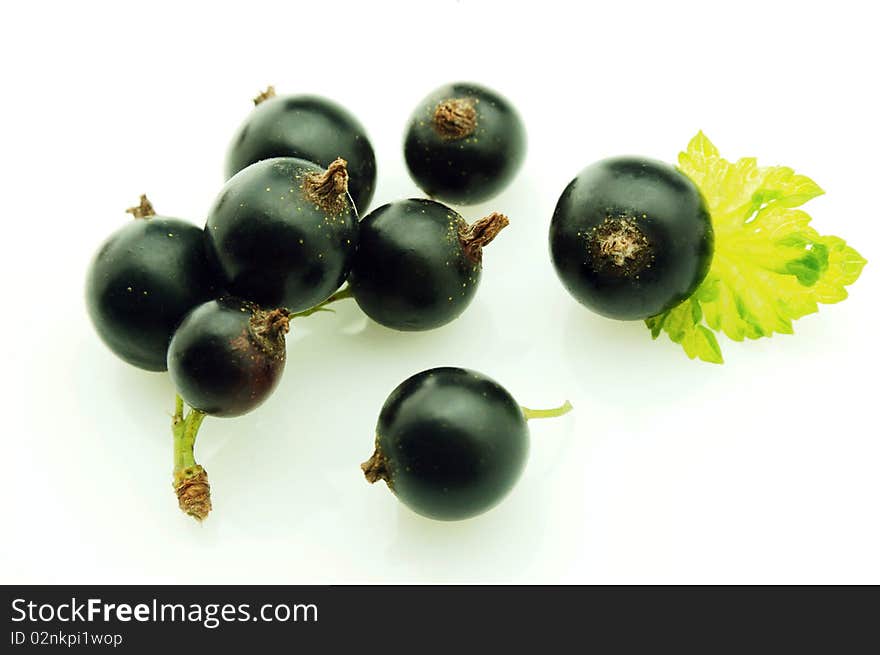 Black currant close up on white background