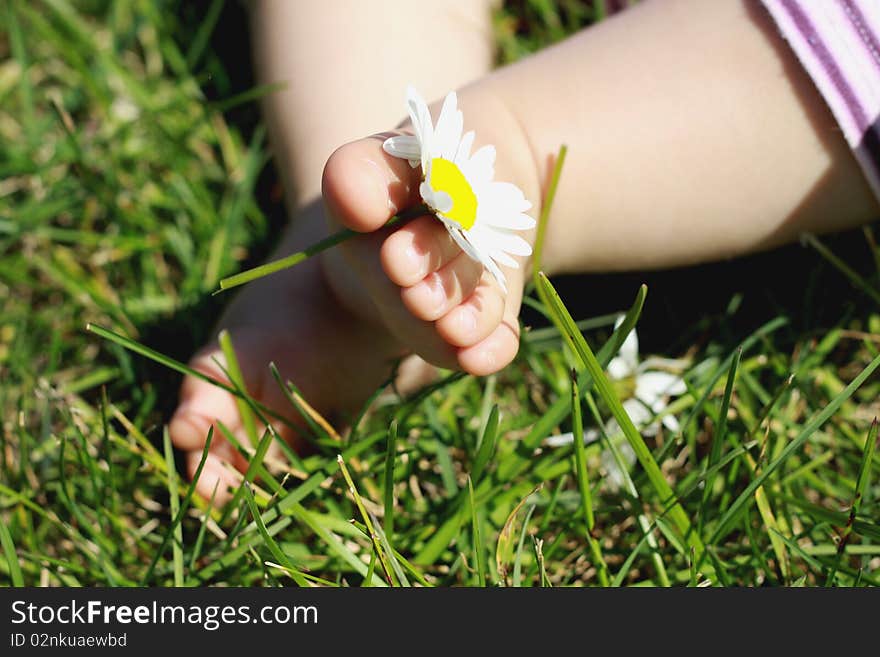 Close up of baby feet on the grass with a flower between little toes. Close up of baby feet on the grass with a flower between little toes