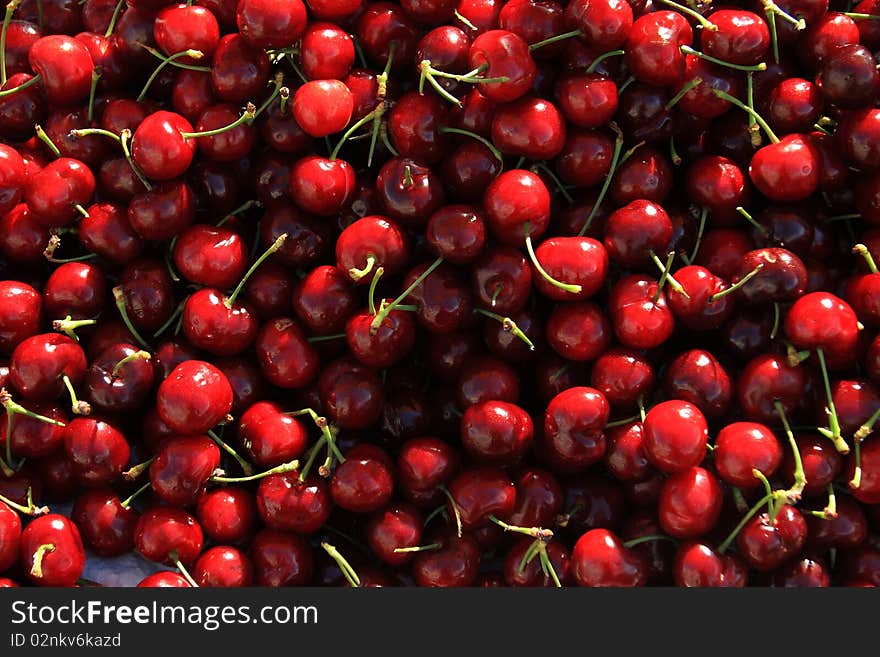 Sunlit Cherries