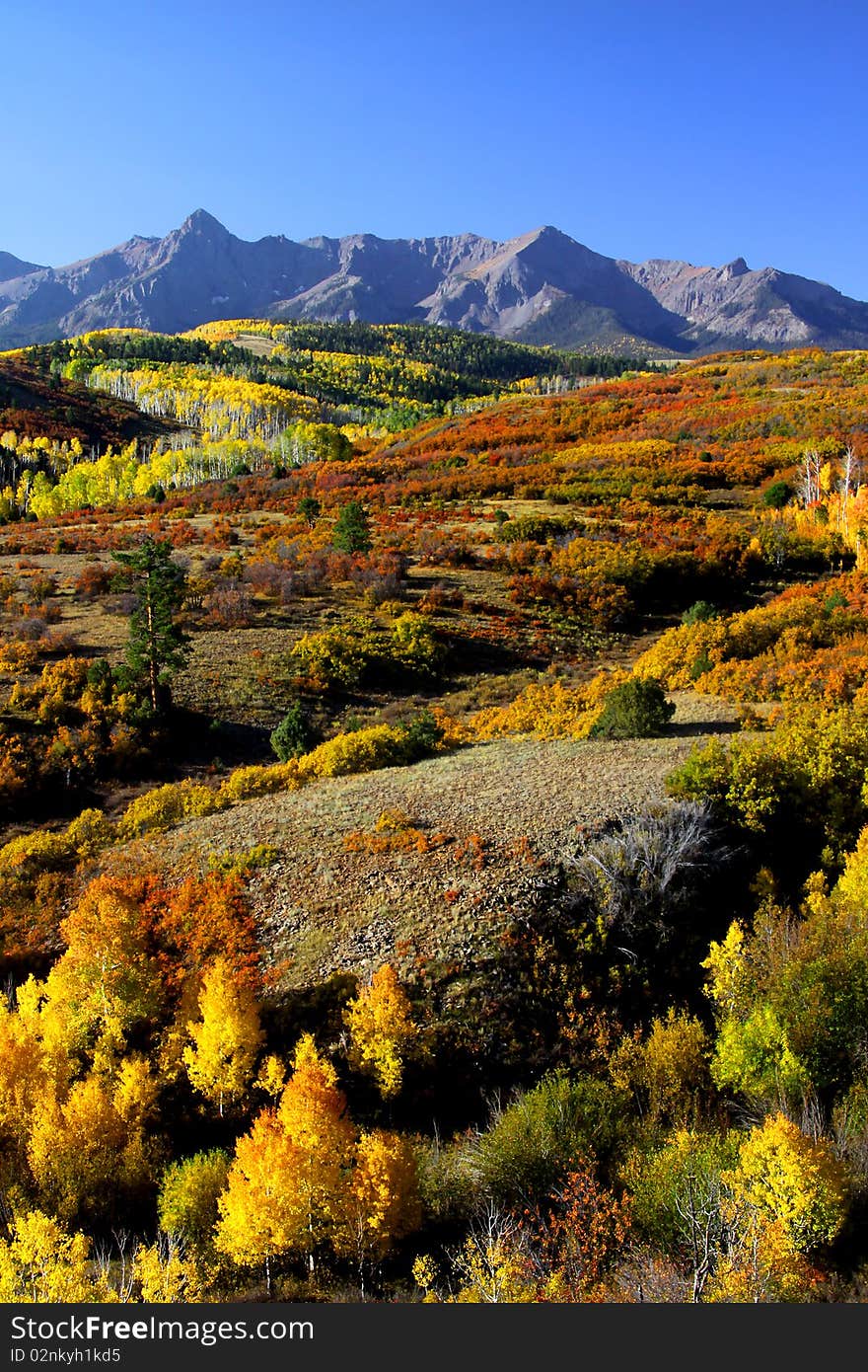 Dallas Divide In Autumn