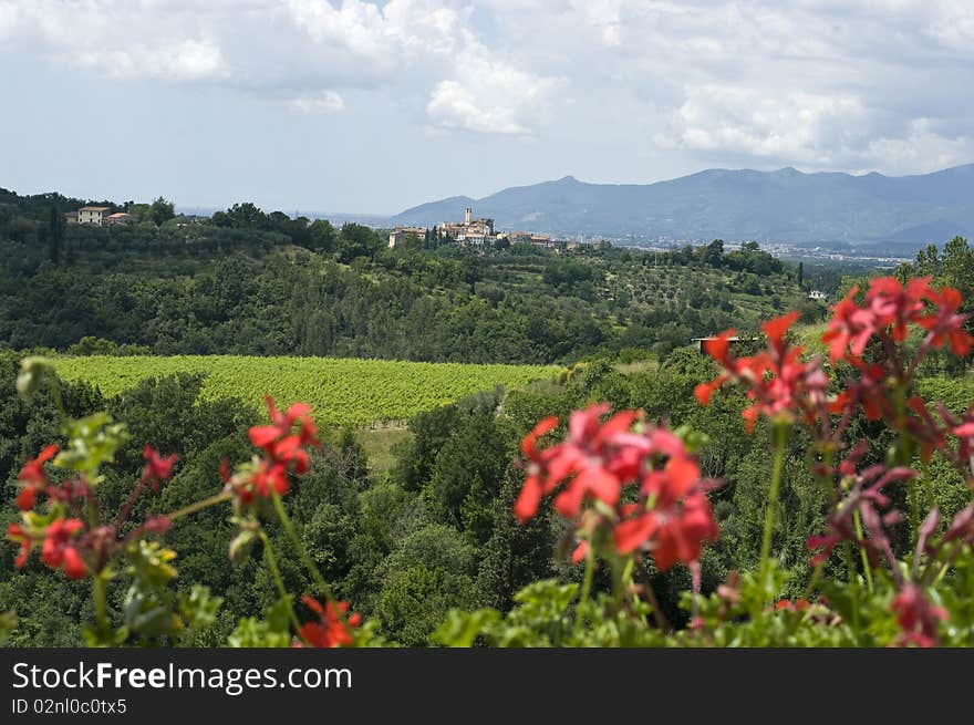 Flower Framed View of Tuscan Vineyards & Villa