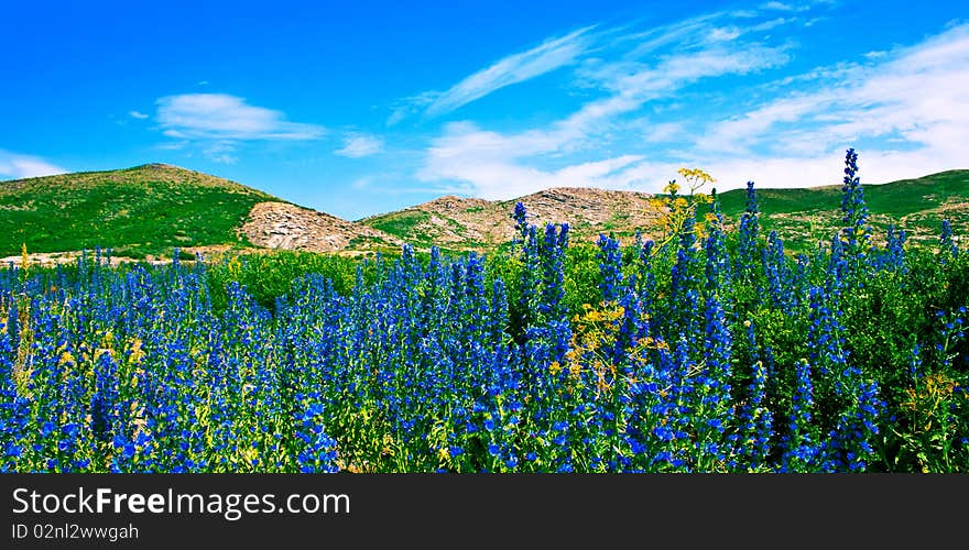 Landscape - field with dark blue colours, hills and sky. Landscape - field with dark blue colours, hills and sky