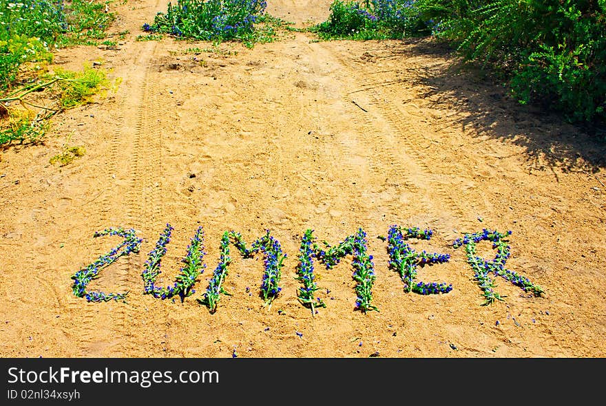 Word summer laid out on sandy yellow road dark blue flowers. Word summer laid out on sandy yellow road dark blue flowers