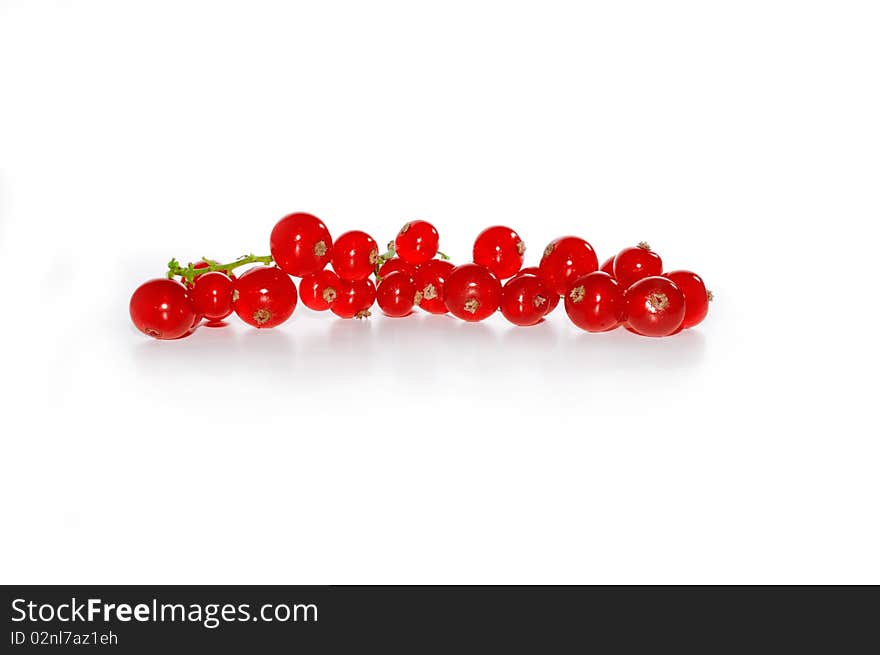 Red ribes, isolated on white background