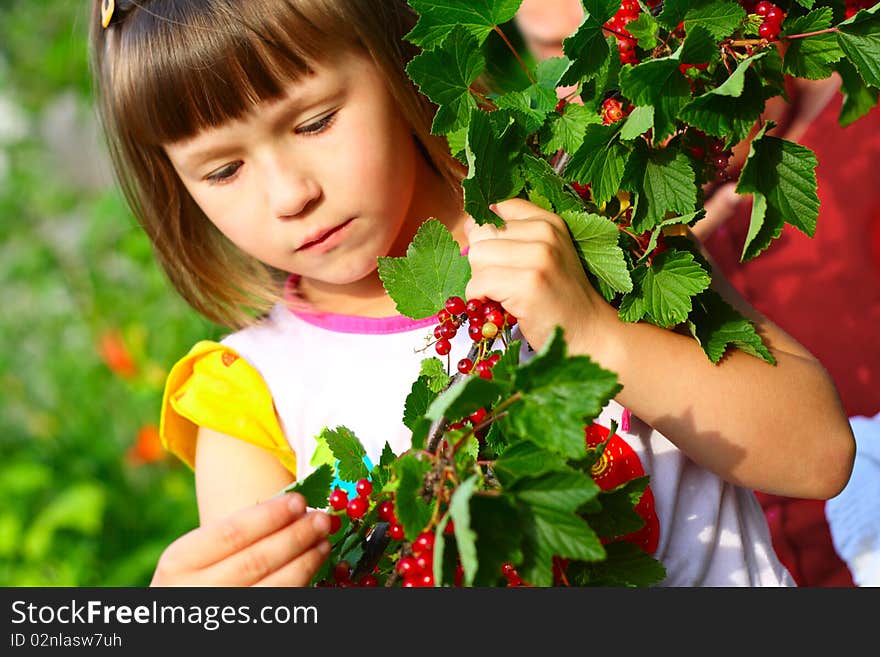 The child holds a branch with berries