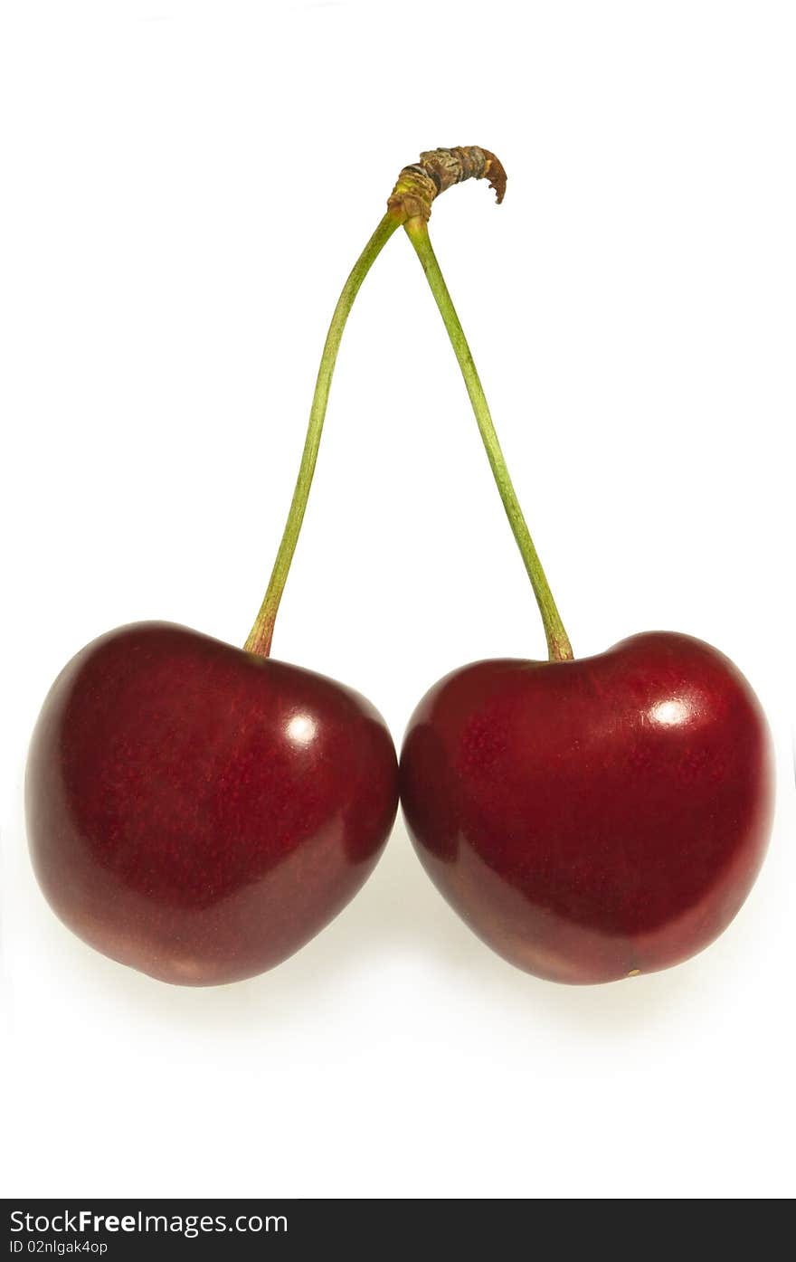 Pair of red cherries in classic pose