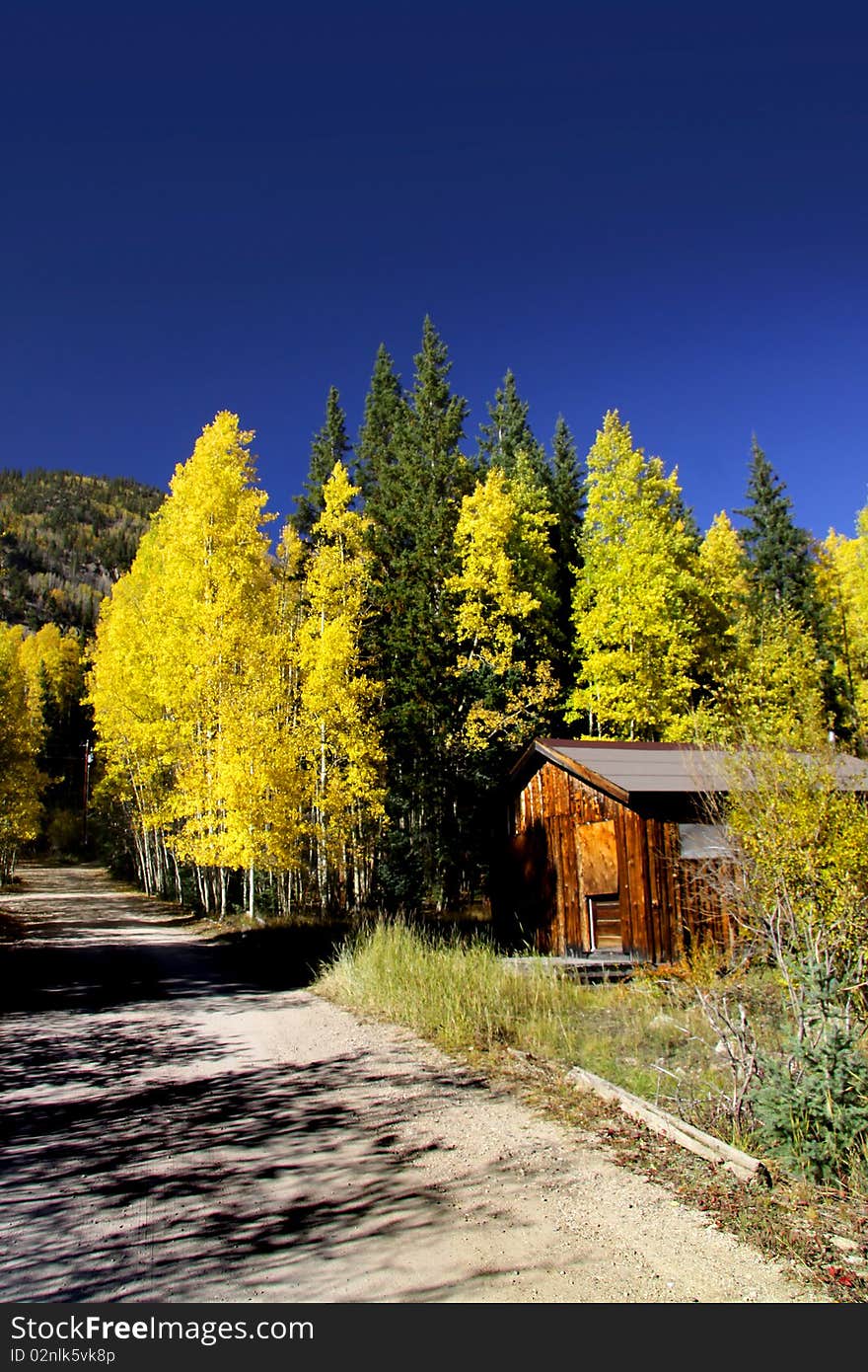 Autumn landscape in Colorado