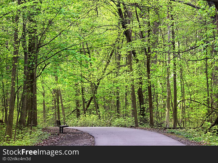 Scenic bike trail through lush green trees. Scenic bike trail through lush green trees