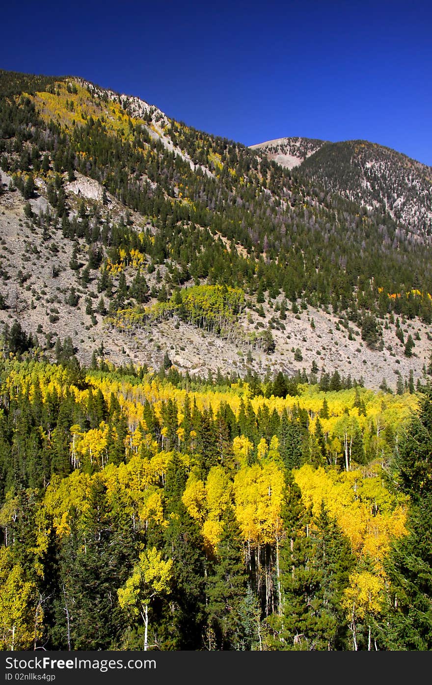 Scenic landscape of Colorado