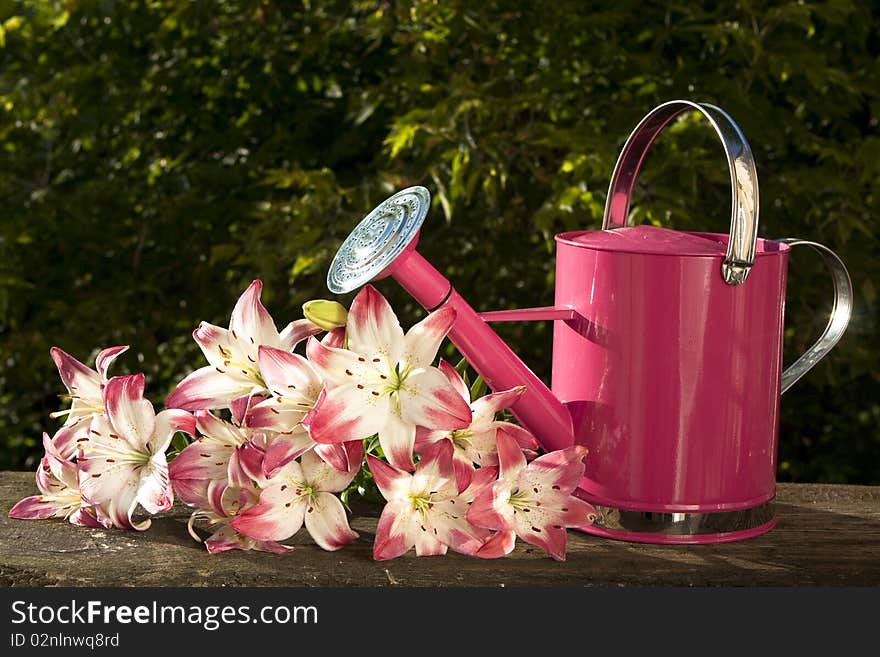 Watering can for flowers