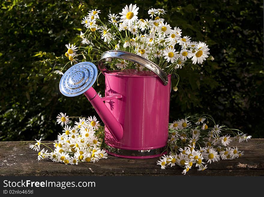 Watering can for flowers