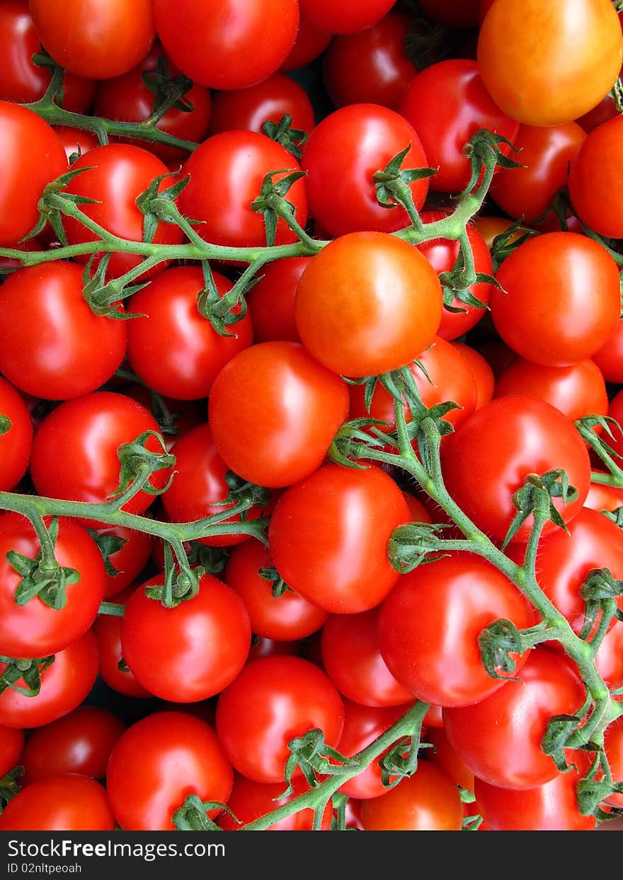 Vine tomatoes