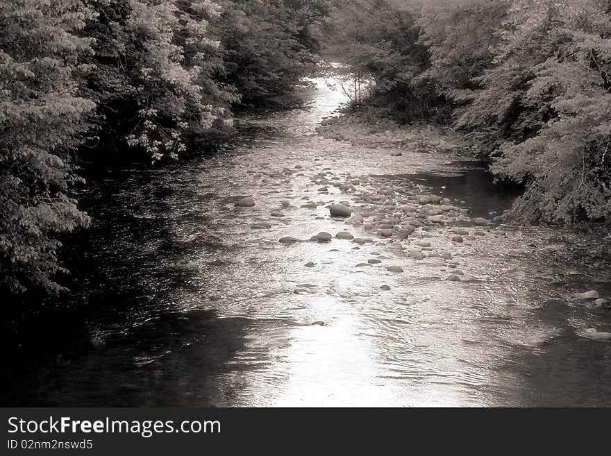 This is a mountian stream on a hill in the summer. This is a mountian stream on a hill in the summer