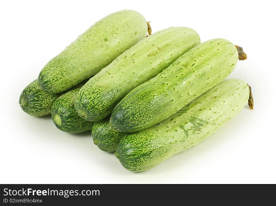 Cucumber