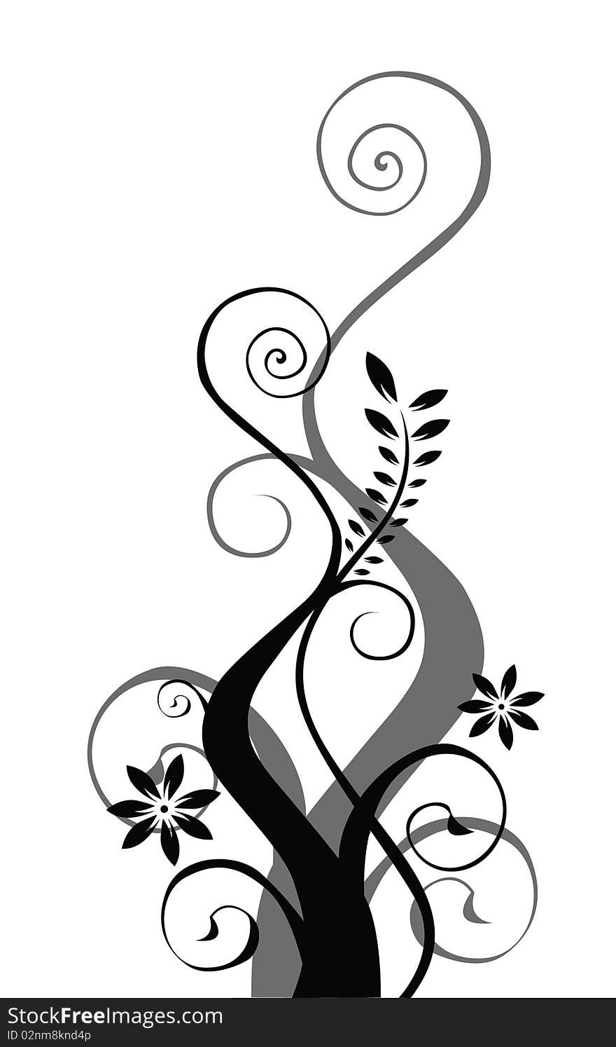 White background with black enchanting hand-painted vine. White background with black enchanting hand-painted vine