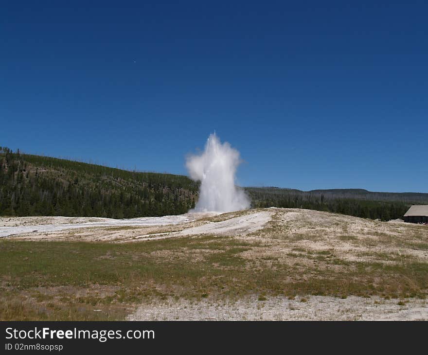 Geyser at Yellowstone