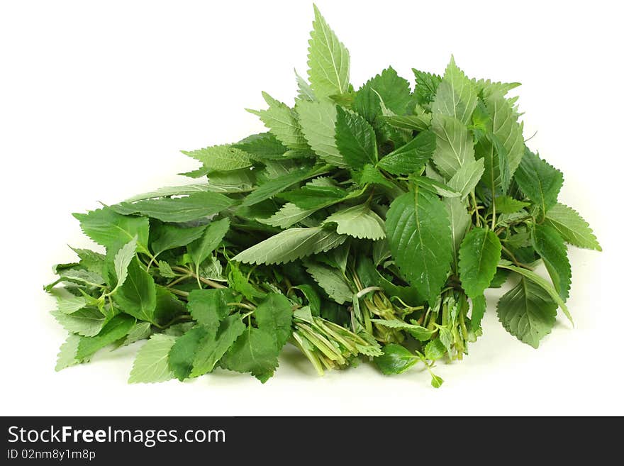 Mint leaves