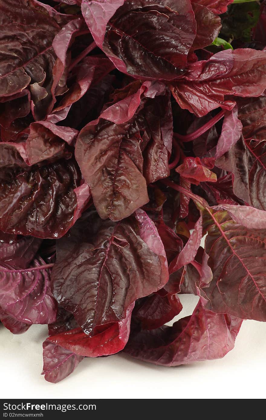 Amaranth Vegetable