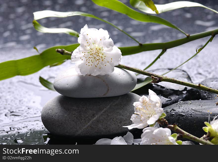 Stacked stones and white flower and water drops. Stacked stones and white flower and water drops