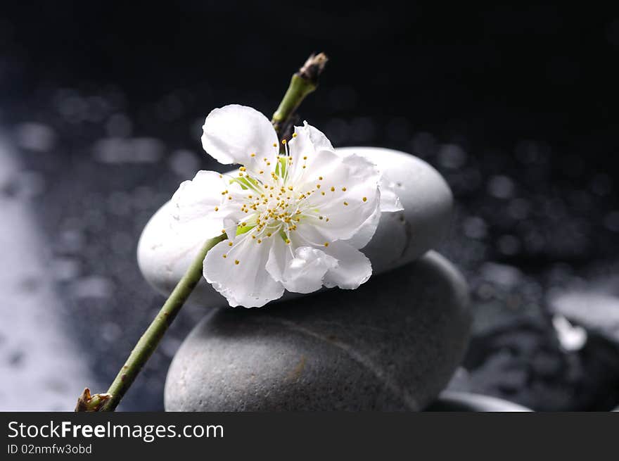 Stacked stones and white flower and water drops. Stacked stones and white flower and water drops