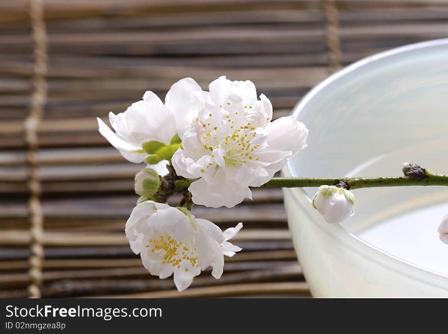 Bowl of cherry blossoms on bamboo mat. Bowl of cherry blossoms on bamboo mat