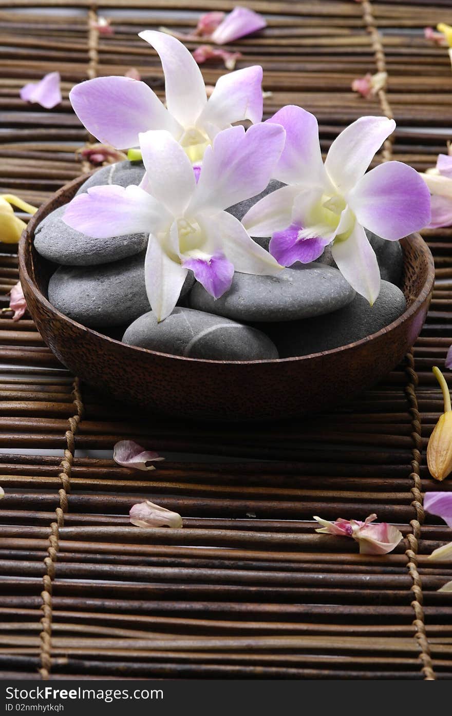 Beautiful orchid and stones in wooden bowl. Beautiful orchid and stones in wooden bowl