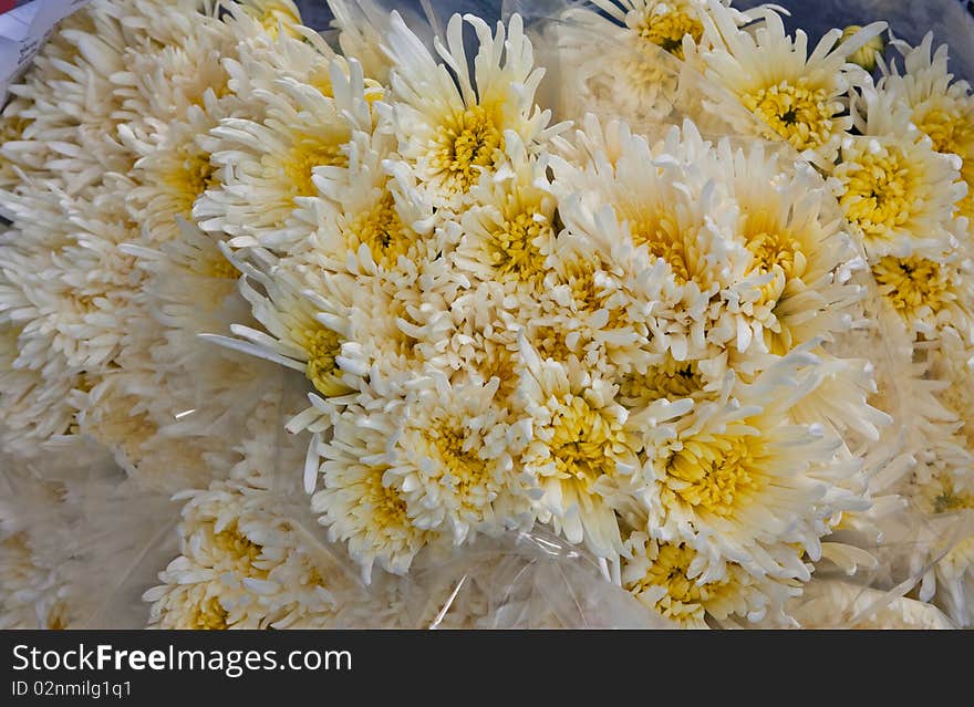 Flower in the market Chiang Mai thailand