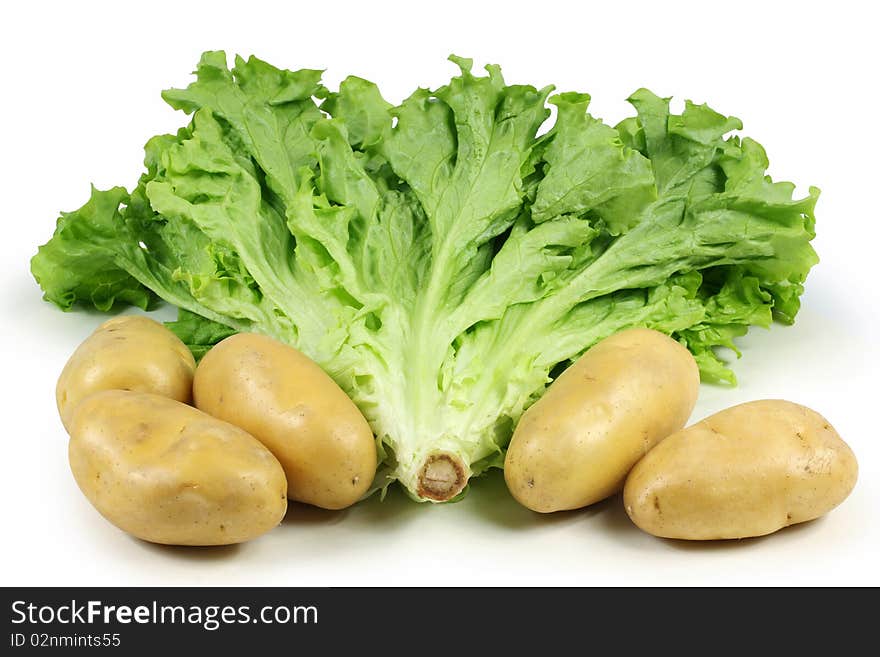 Potatoes and  lettuce on white background. Potatoes and  lettuce on white background