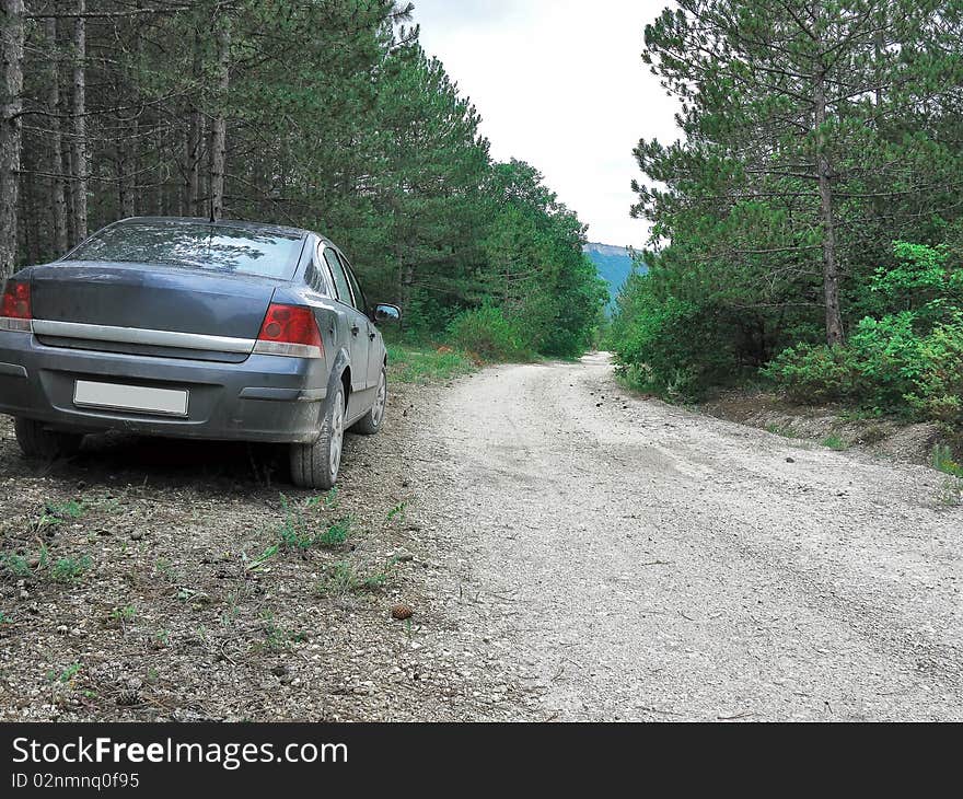 A car standing on a dirt road in Crimean forest