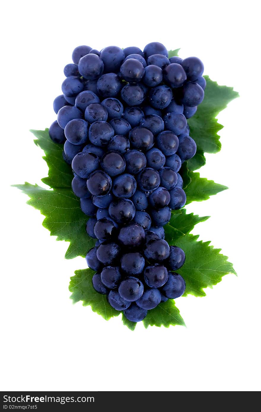 Grapes