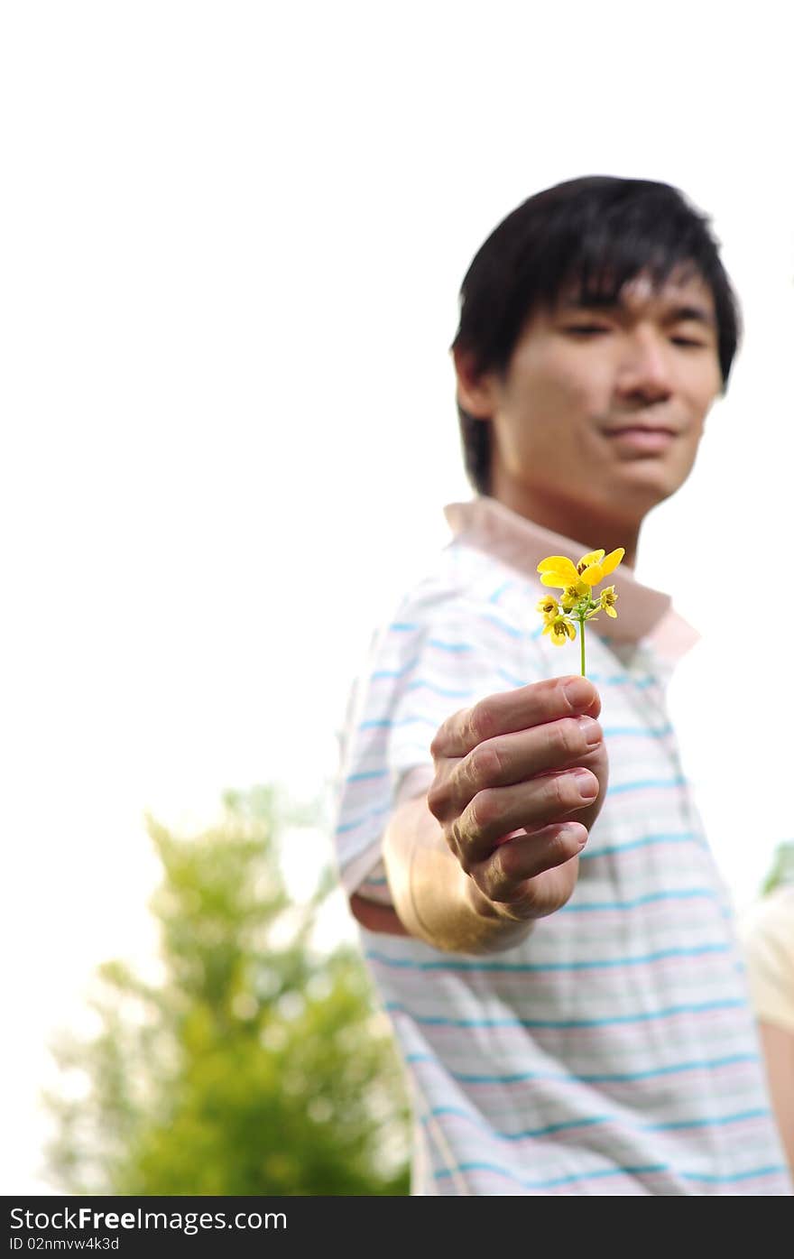 Young Asian Man proposing with flower