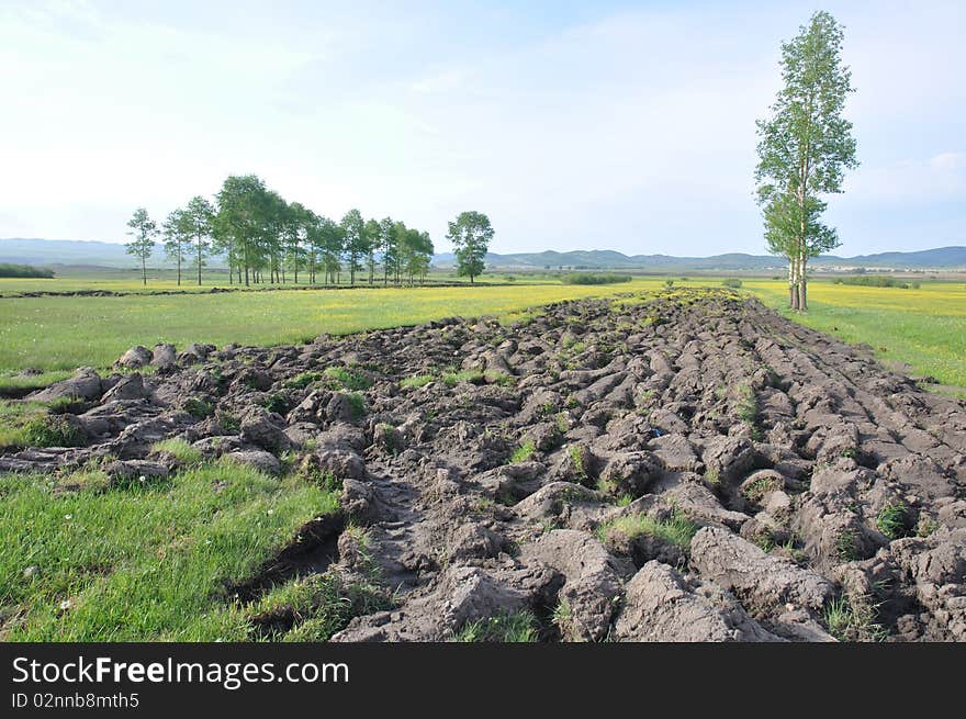 Cultivated Soil In Summer