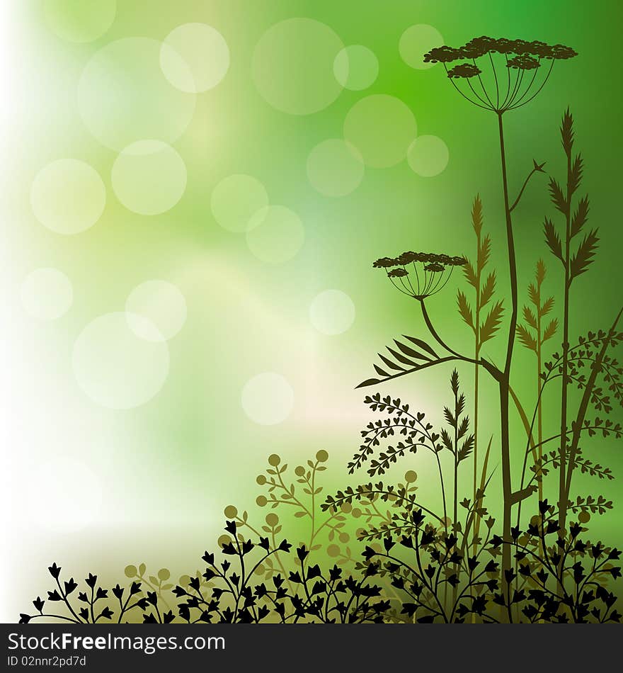 Floral background with grass and herbs on green. High resolution JPG image. Floral background with grass and herbs on green. High resolution JPG image.