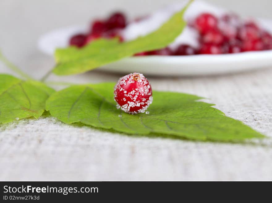 Green Leaf And Cowberry Sprinkled With Sugar