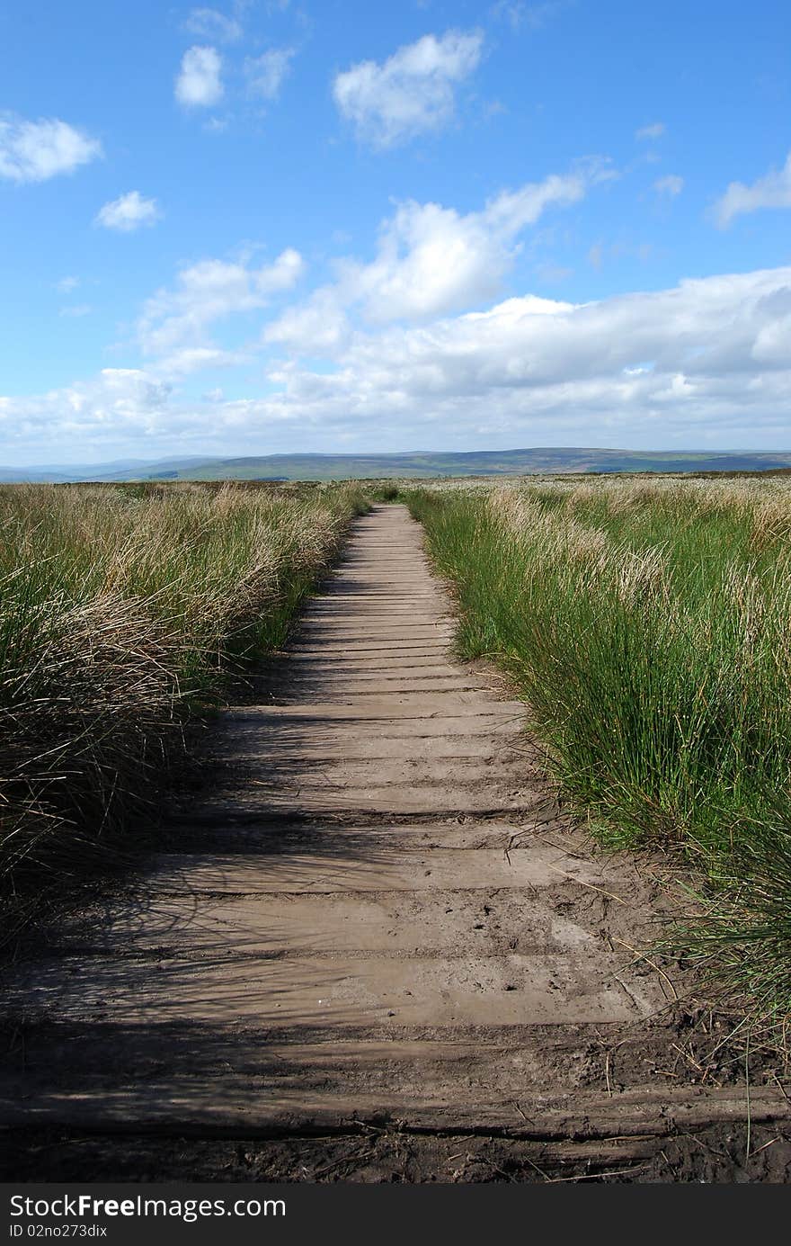 Wooden Path